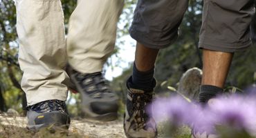Wanderhighlights im Juni